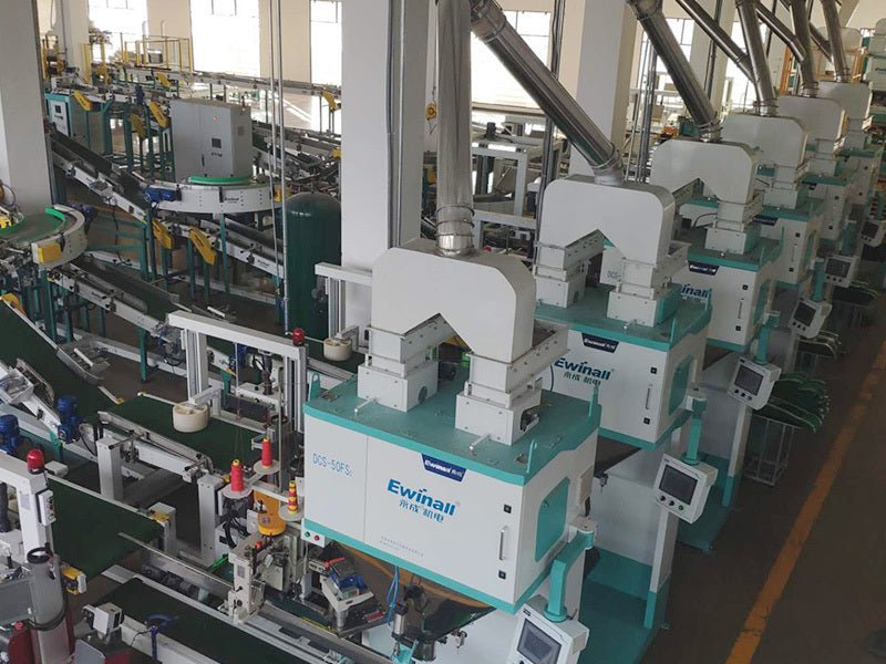 DCS-50FS2 High-Speed Servo Motor Packaging Machine Case Study – Ewinall