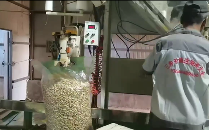 Ewinall DCS-50E2-BZ Semi-Automatic Rice & Peanut Bagging Machine | 10–50kg Woven Bag Packing