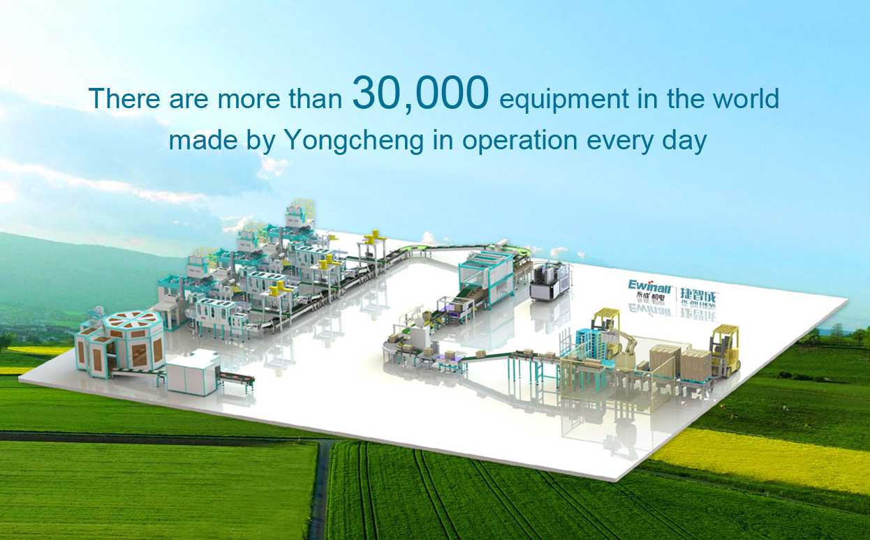 Load video: Fully Automated Grain Packing Line with Automatic weighting, sewing, conveyor, FUJI EC 171 paletizer