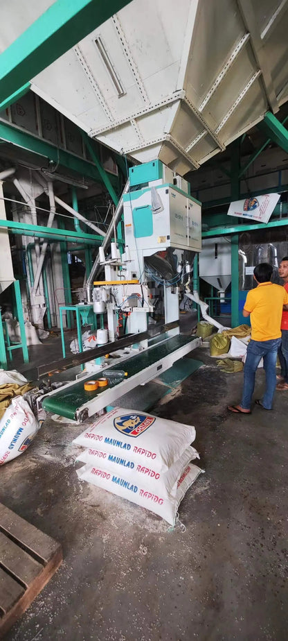 Ewinall DCS-50FE2-BZ Automatic Quantitative Packaging Machine |5-50kg Rice, Grain, Feed & Sugar Bagging Solution