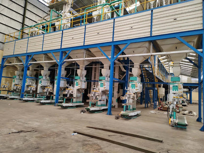 Ewinall DCS-50FE-C Grain Packaging Machine 50kg Feed Rice Beans Woven Gunny Bag