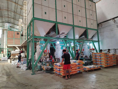 Ewinall DCS-50FE-C Grain Packaging Machine 50kg Feed Rice Beans Woven Gunny Bag