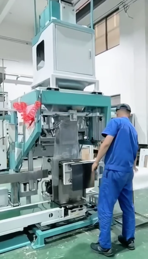 Ewinall BZD-200Z Semi-Automatic Large Bag Vacuum Packing Machine – 12.5-25kg Dual-Shape Vacuum & Outer Bag Sewing System