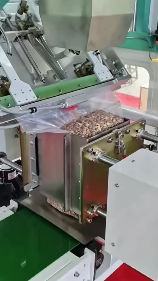 Ewinall BZD-200Z Semi-Automatic Large Bag Vacuum Packing Machine – 12.5-25kg Dual-Shape Vacuum & Outer Bag Sewing System