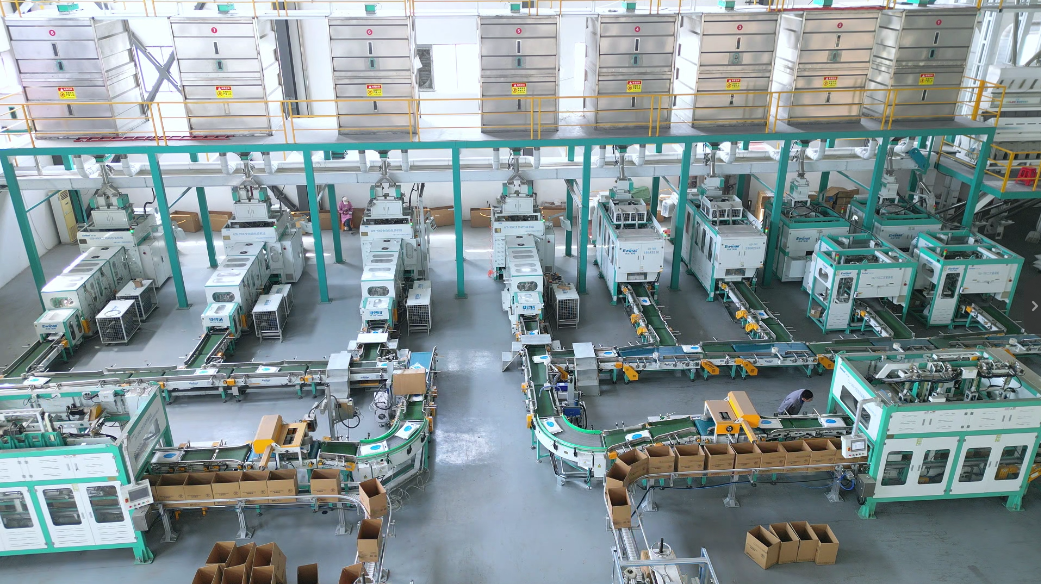 Automatic Rice Packaging：Vacuum to Carton to Pallet! - Ewinall Complete Packaging Line