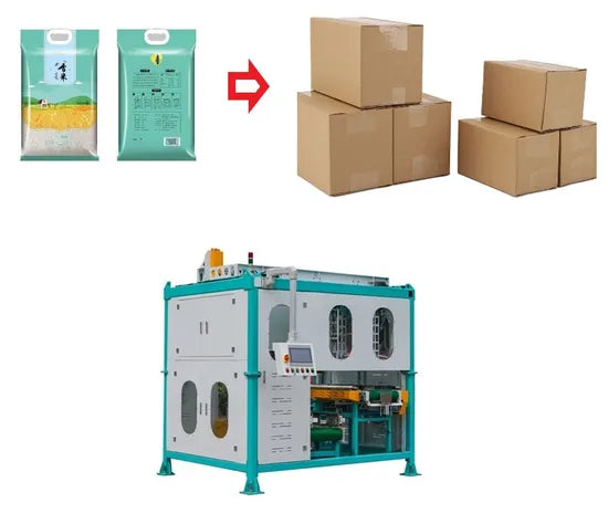 ZXJ-2400 2.5–10kg Advanced Carton Packing System with Quick Vacuum Feature for Vacuum Cartoning Applications