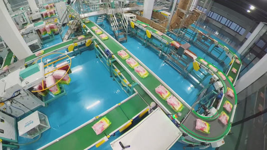 ZXJ-2400 2.5–10kg Advanced Carton Packing System with Quick Vacuum Feature for Vacuum Cartoning Applications