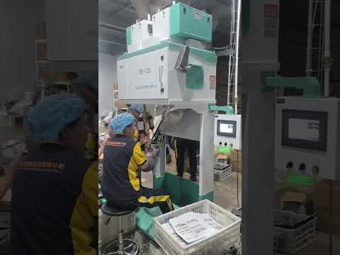 DCS-10ZD2 Machine de pesage et d’ensachage quantitatif, 0,5–10 kg