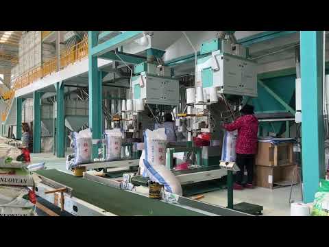 DCS-50FE2-B 10‑50kg Electric Weighing & Bagging Scale – Semi-Automatic Granule Packaging Machine (500‑720 bags/h)